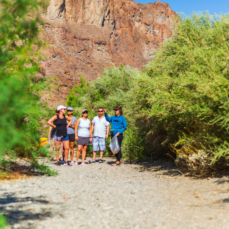Group of people hiking on a rocky path surrounded by bushes and mountains.
