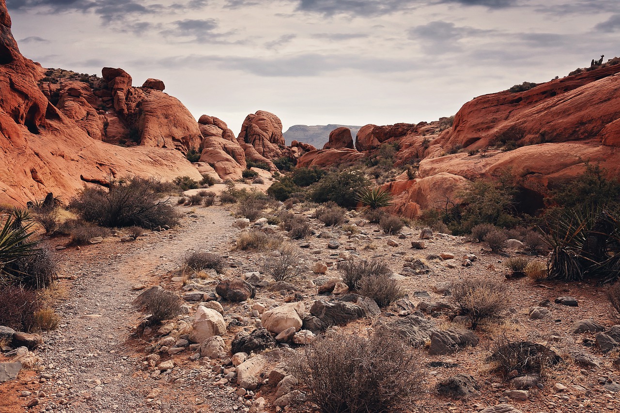 Rocky desert landscape with red rock formations, shrubs, and a cloudy sky.