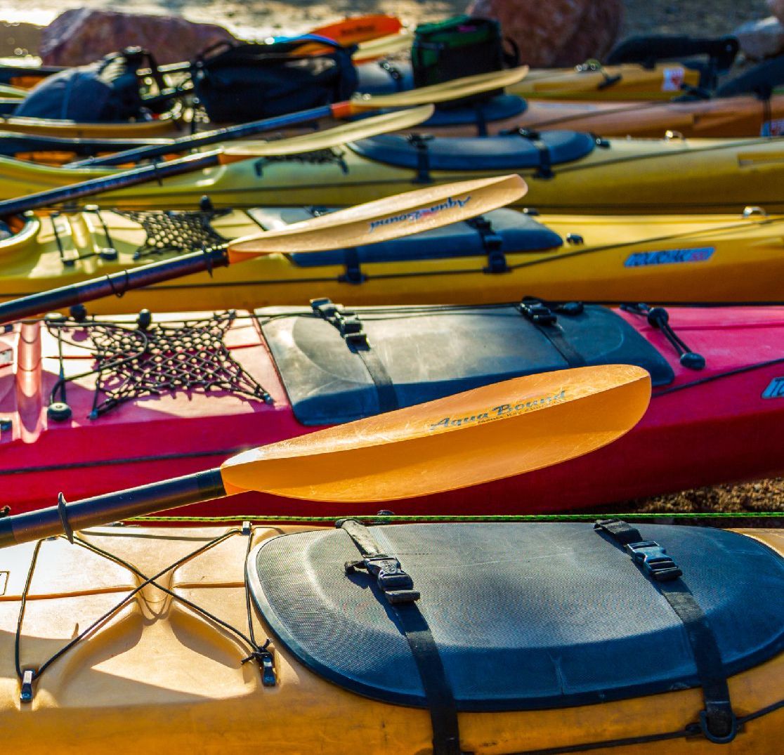 Close-up of colorful kayaks and paddles lined up on a beach.