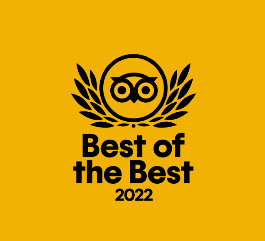 Best of the Best 2022 logo with laurel and owl face on yellow background.