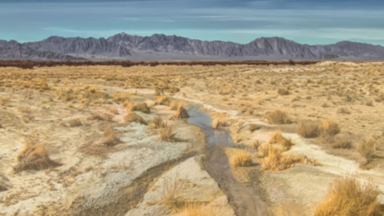 Desert landscape with a mountain range in the distance and a dry streambed in the foreground.