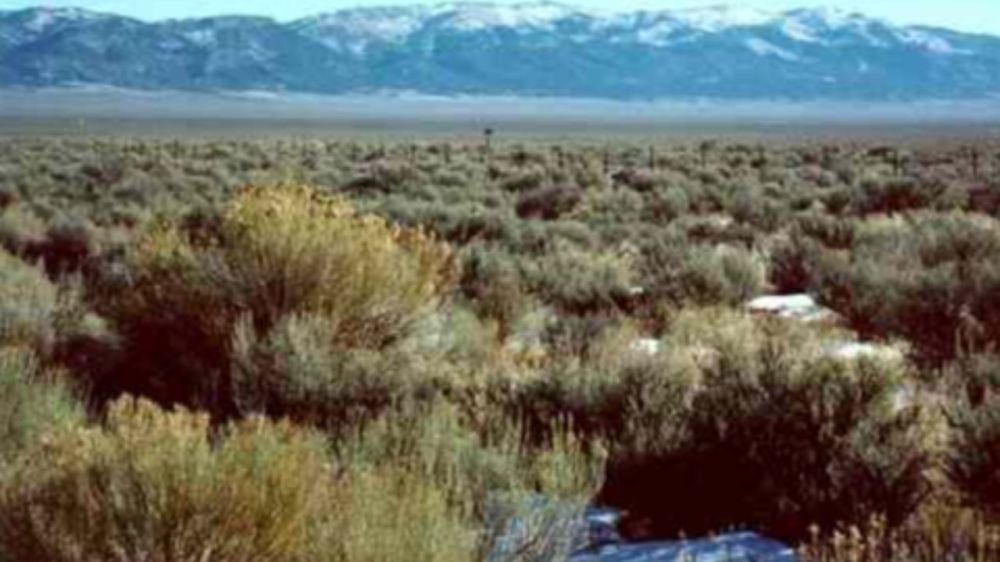 An image of Great Basin Desert, Nevada