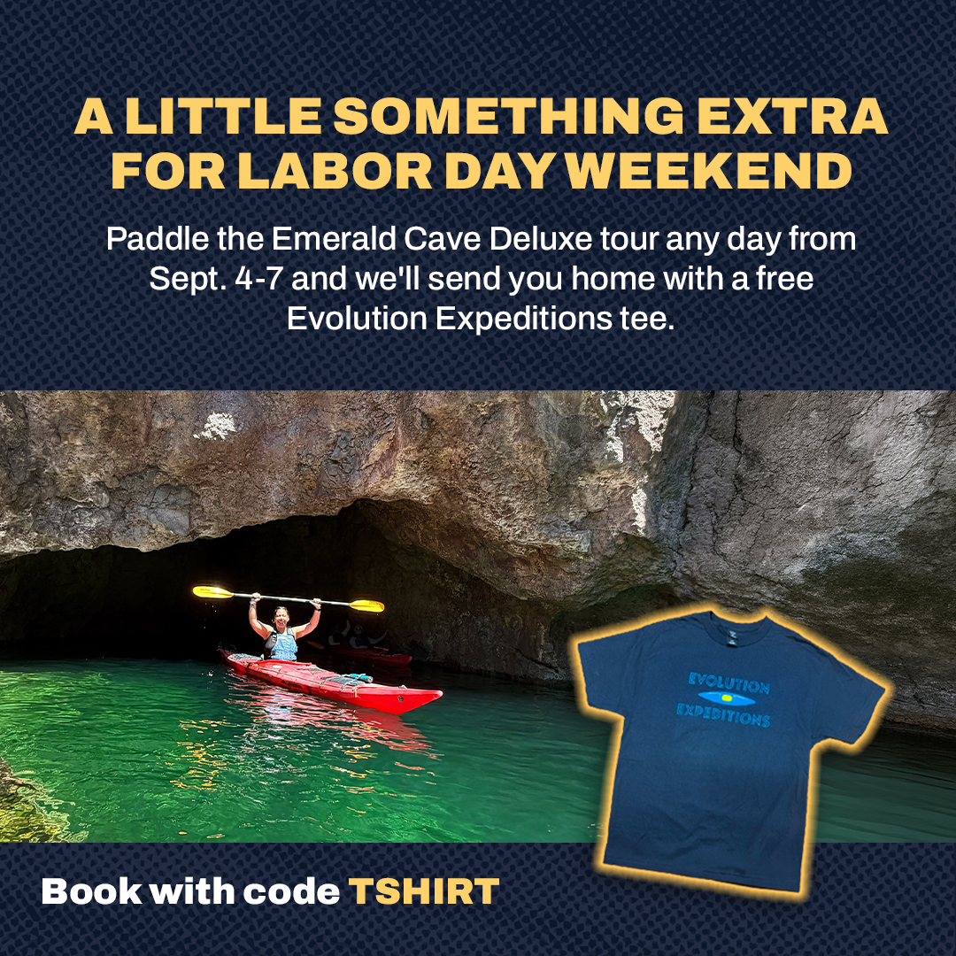Labor Day Promo